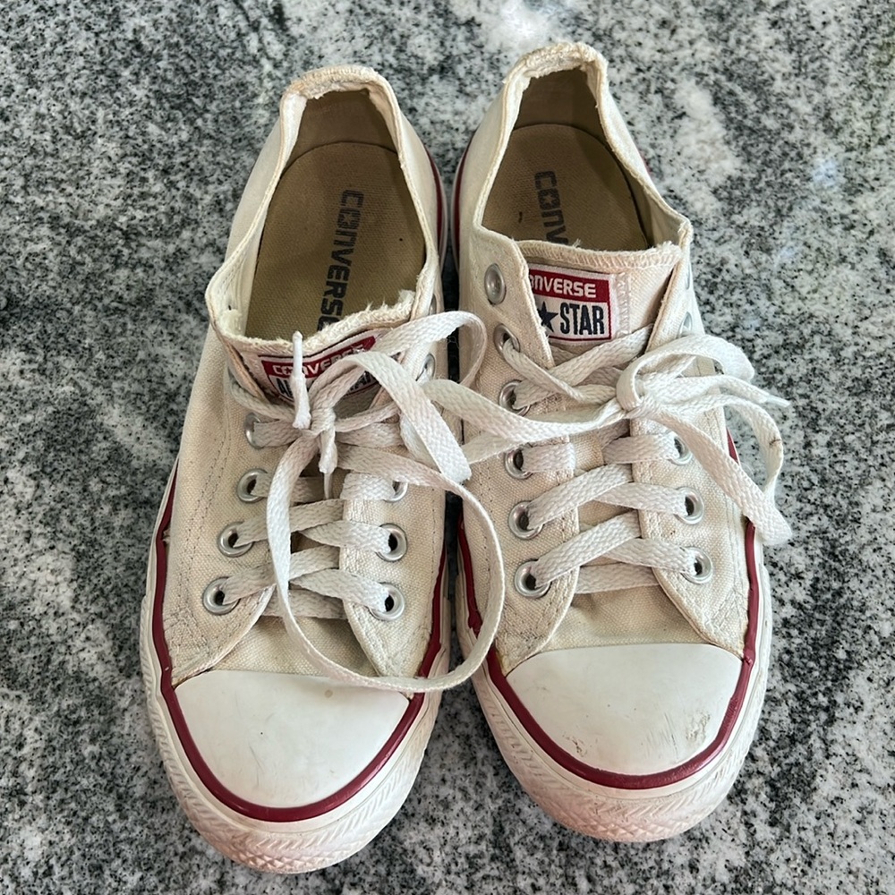 Converse Taylor All Star Canvas Low top Shoes
